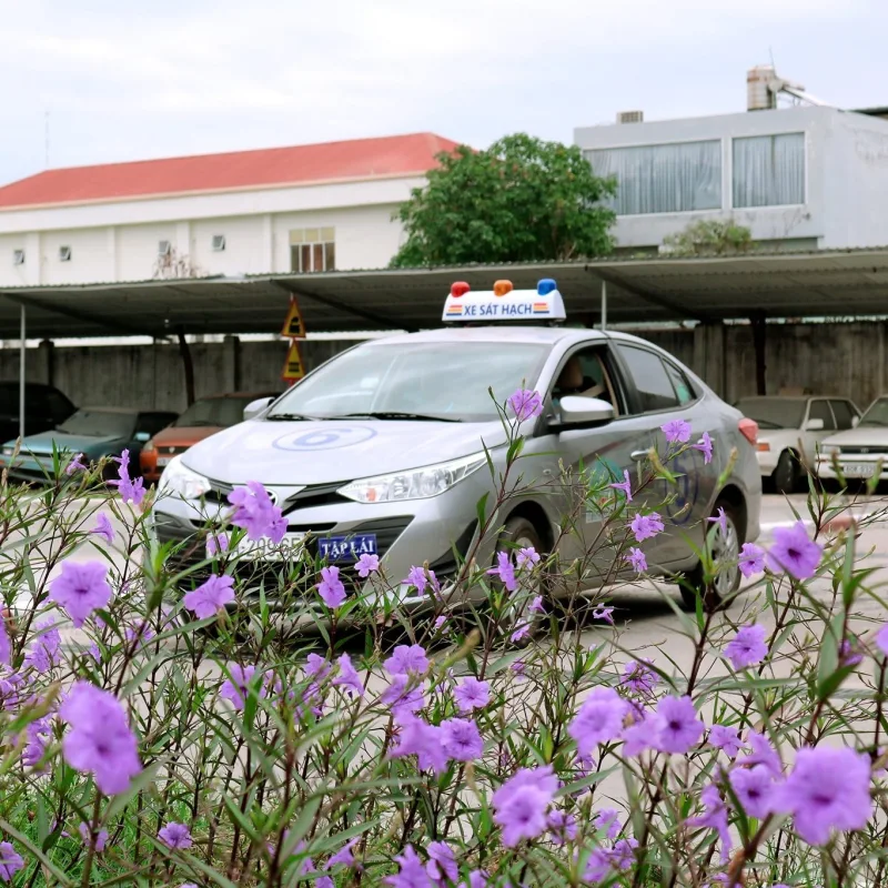 Khóa Học lái Xe Tại Trường Dạy Lái Xe Đồng Nai